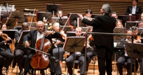 Filarmônica de Minas Gerais recebe o violoncelista Antonio Meneses para interpretar Tchaikovsky e Saint-Saëns