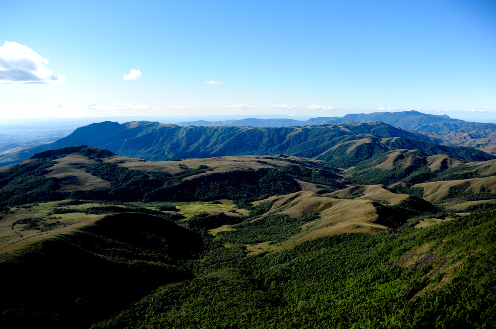 Parque Estadual Serra do Papagaio na Serra da Mantiqueira crédito Evandro Rodney