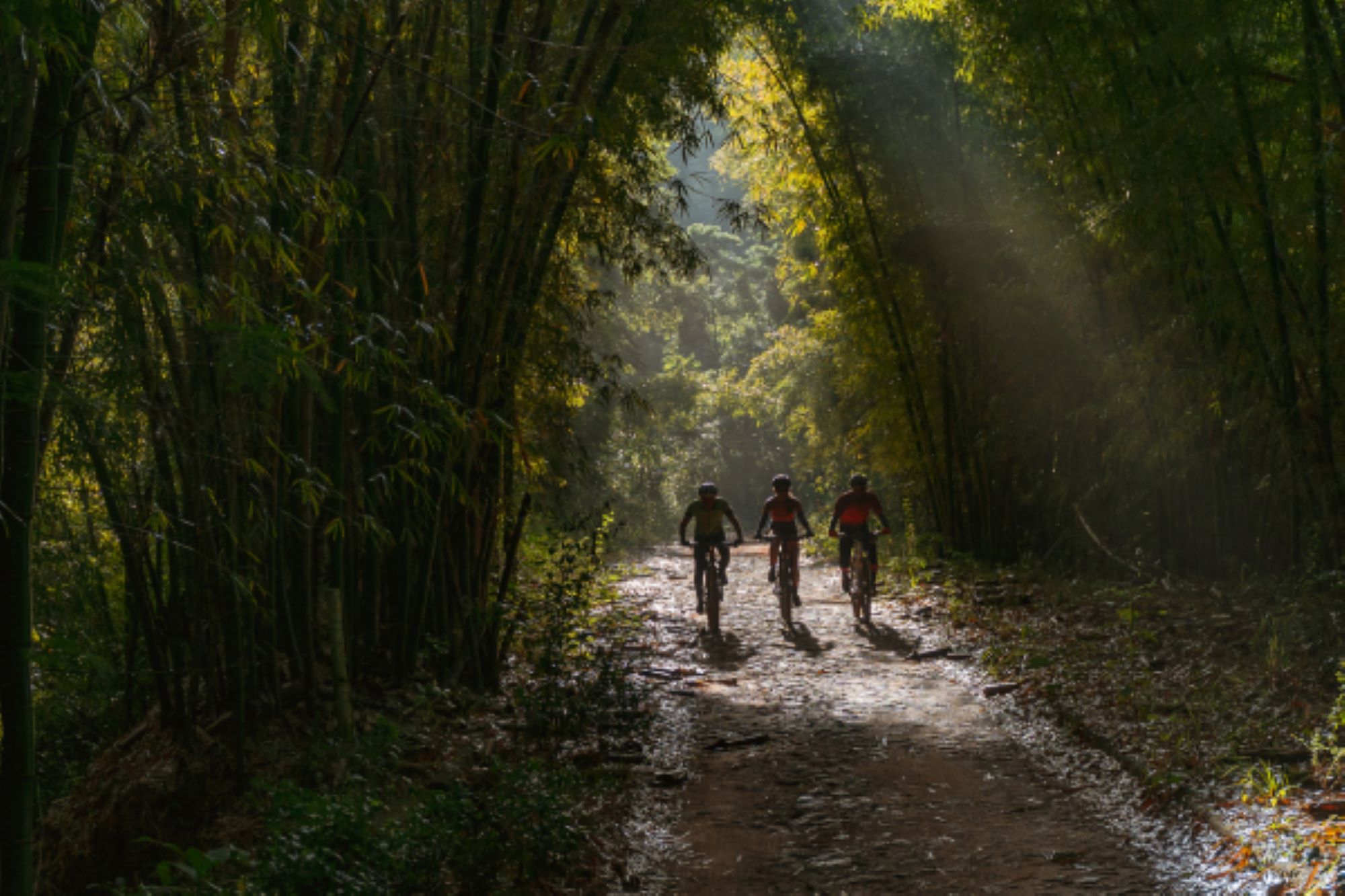 Plano Diretor do Turismo Verde: conheça na íntegra a iniciativa do Governo de Minas para desenvolver o turismo sustentável no estado