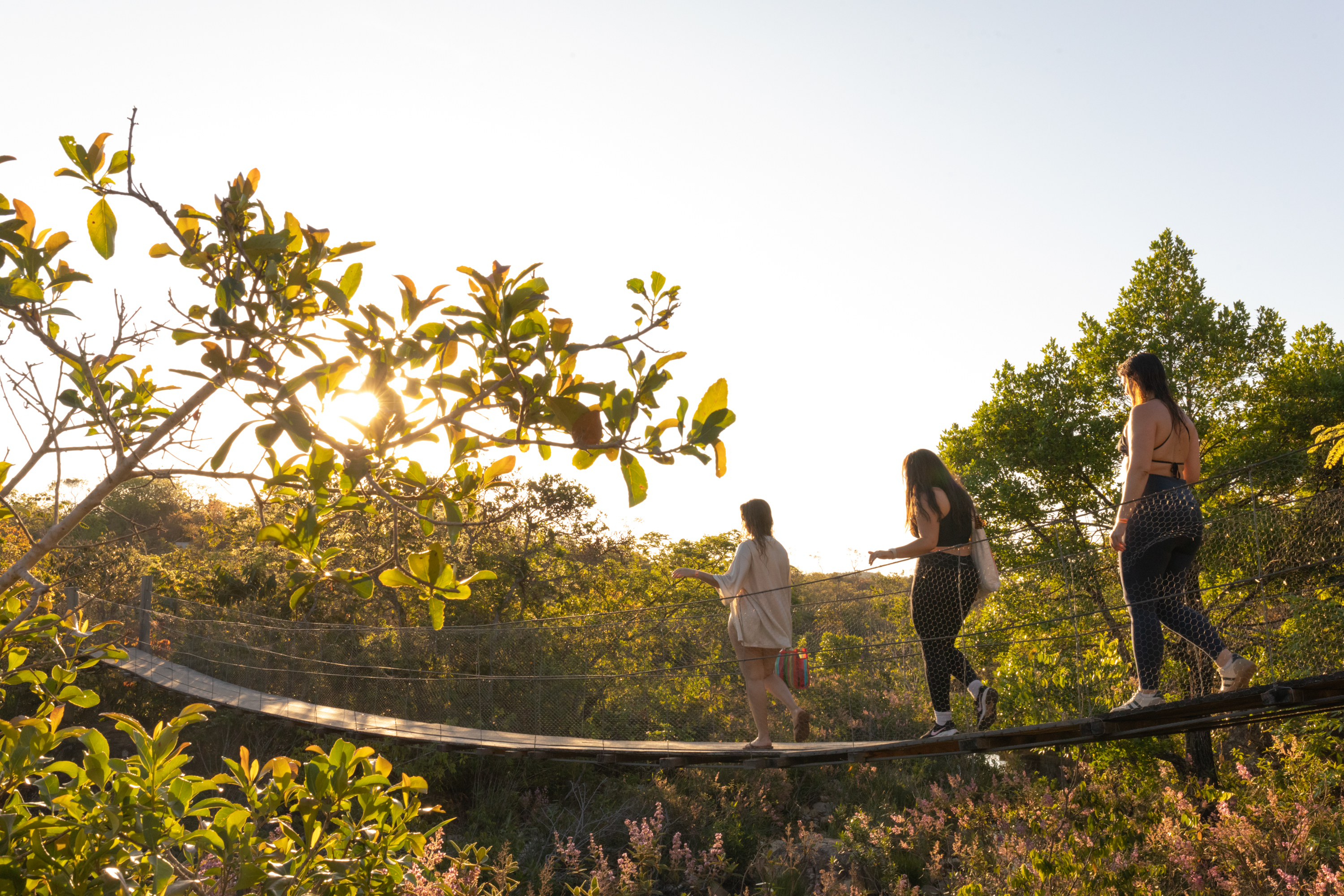 2025 09 27 IsisMedeiros 1