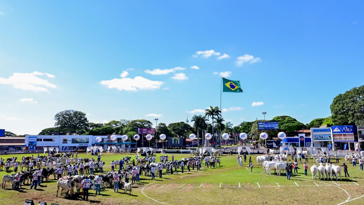 Minas Festas de Peão: campanha inédita valoriza rodeios, exposições e tradições sertanejas em todo o estado
